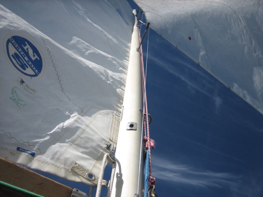 thistle-class-racing-echo-sail-check-mast thistle-class-racing-echo-sail-check-mast