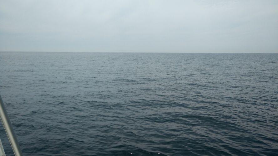 no-land-in-sight-catalina-bound